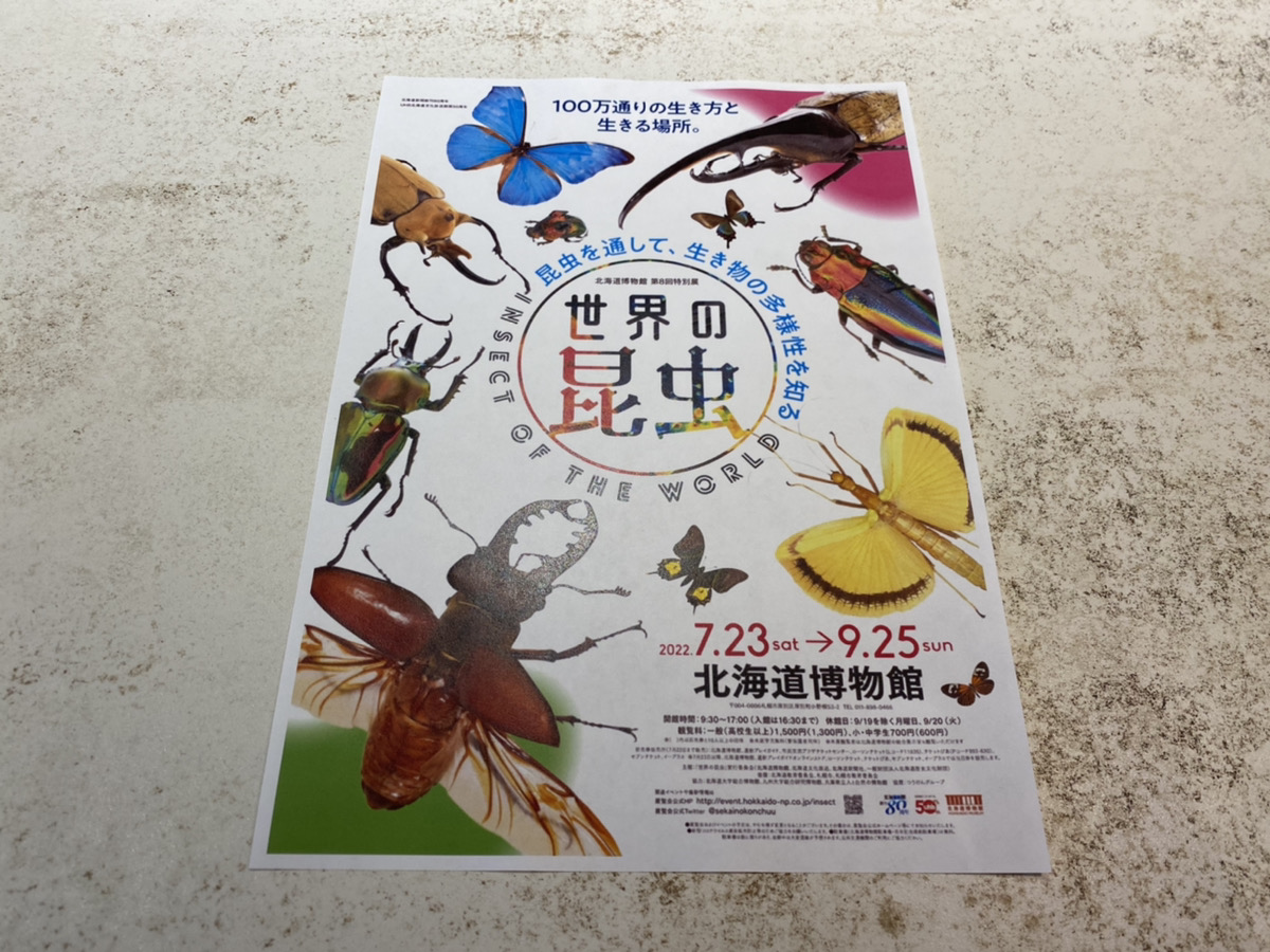 【休日】夏休みにおすすめ「世界の昆虫展」に行きました