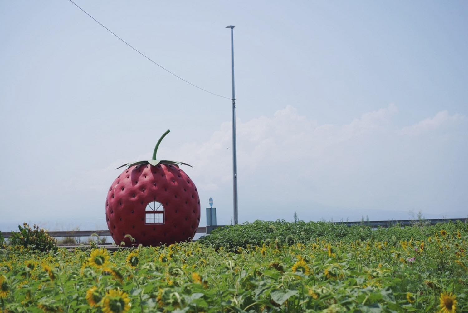 【九州旅行】器と雑貨巡りが教えてくれた「どこで・どんな気持ちで過ごすか」の大切さ