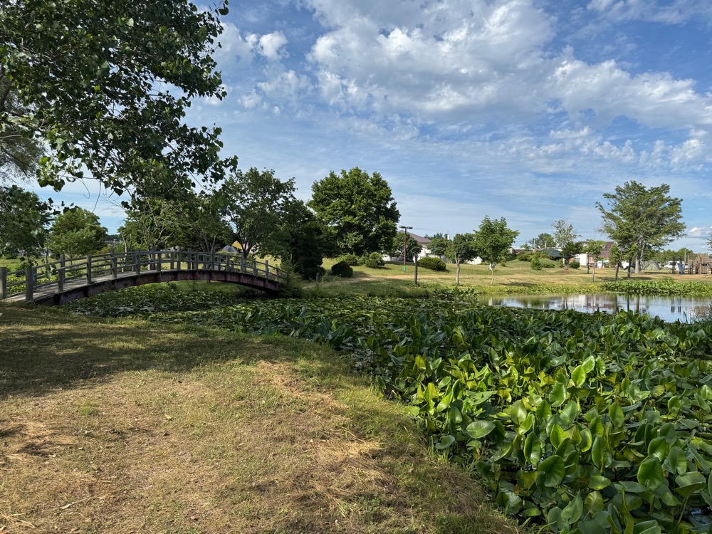 【札幌から1時間】無料で楽しめる穴場！「北村中央公園ふれあい広場キャンプ場」でソロキャンプしてきた