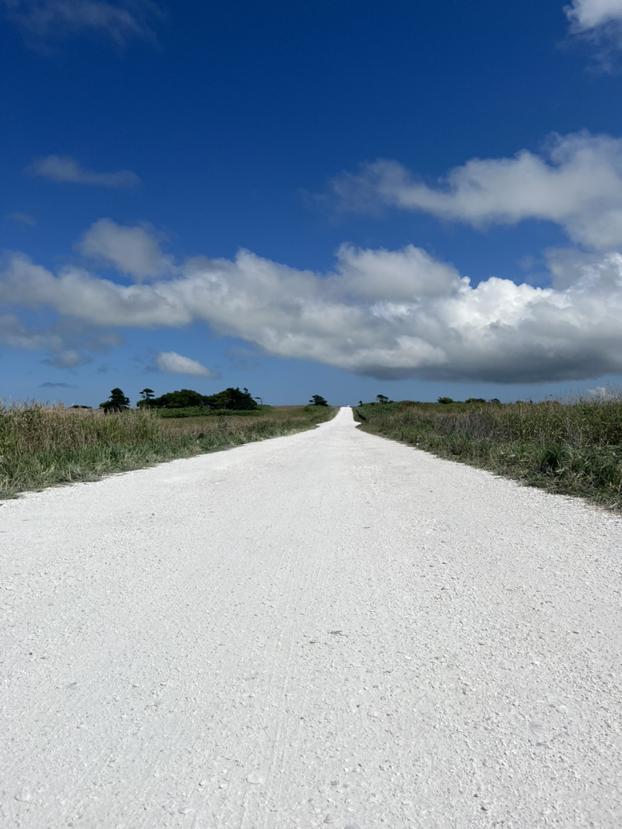 北海道満喫の旅