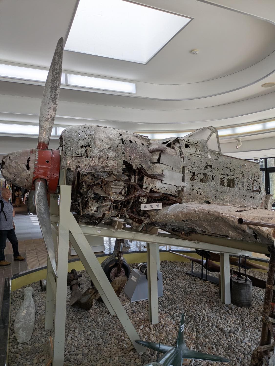 今年二度目の九州へ。鹿児島（知覧・桜島）の絶景と熊本グルメを堪能