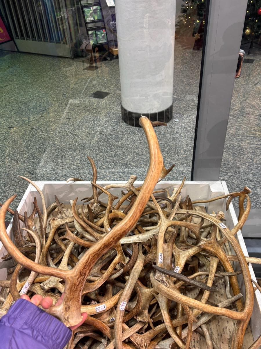 【竹田旅行記】フィンランド一人旅行vol.1