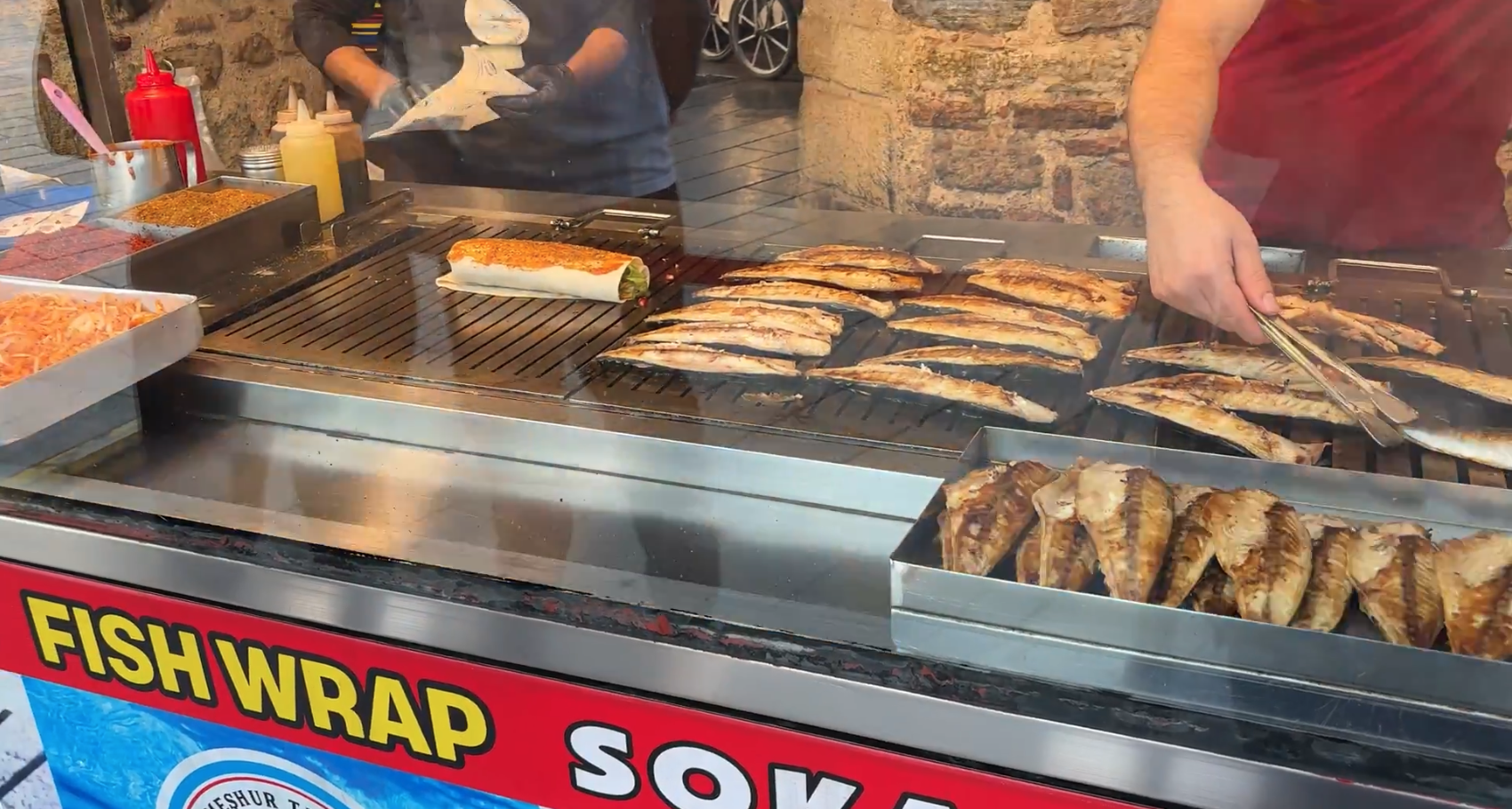 猫の都　イスタンブールでトルコを味わう