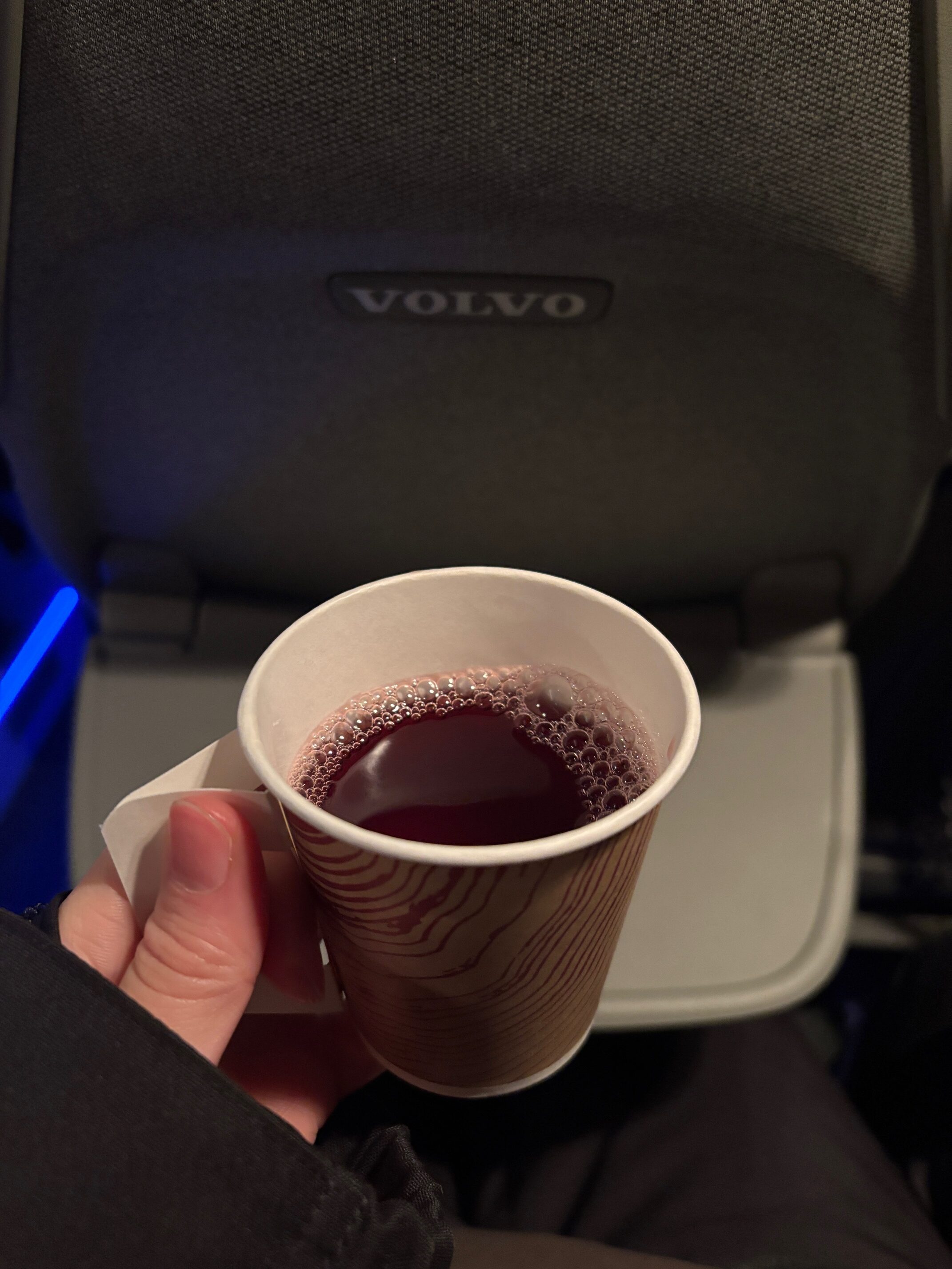 【竹田旅行記】フィンランド一人旅行 vol.2