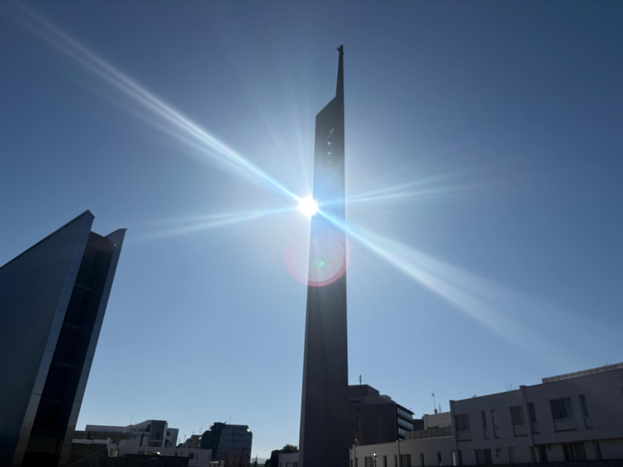 【田村旅行記】2026〜東京編〜