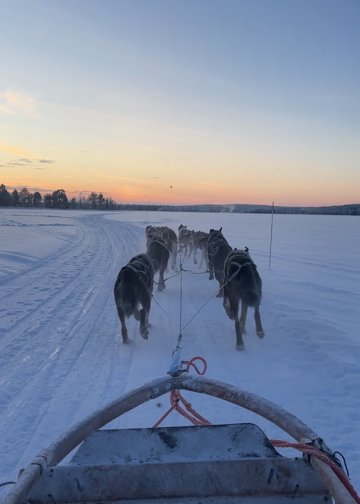 【竹田旅行記】フィンランド一人旅行 vol.2