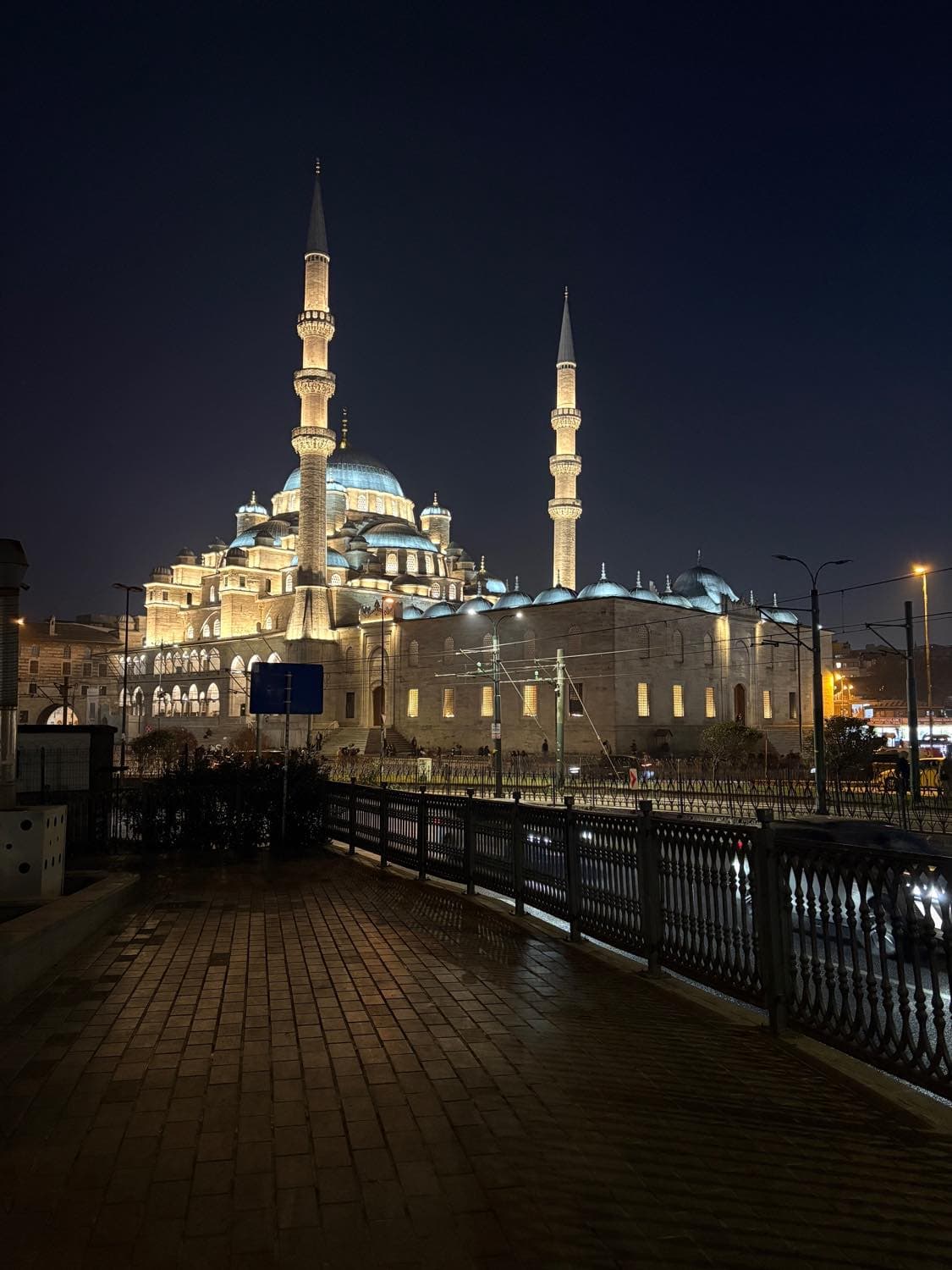 猫の都　イスタンブールでトルコを味わう