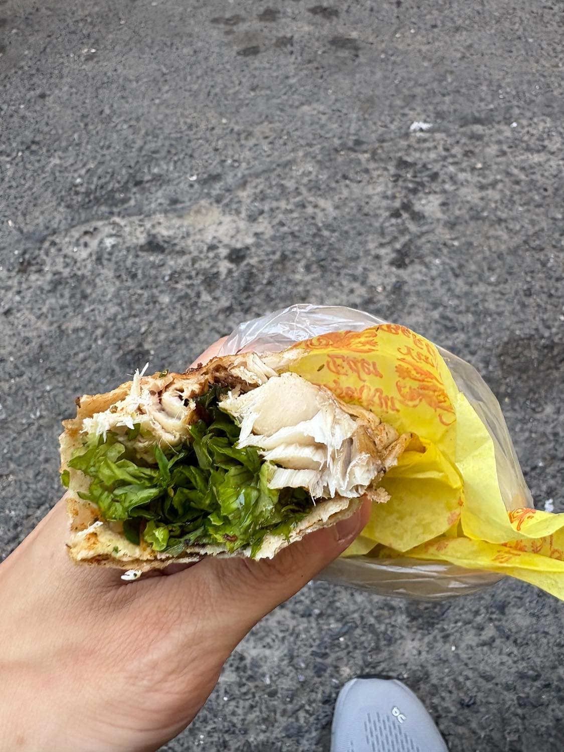 猫の都　イスタンブールでトルコを味わう