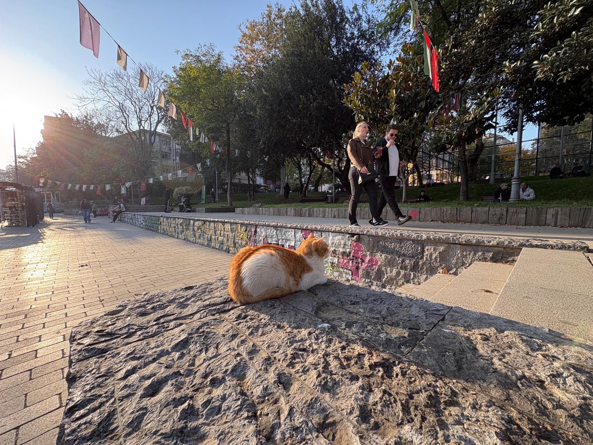 猫の都　イスタンブールでトルコを味わう