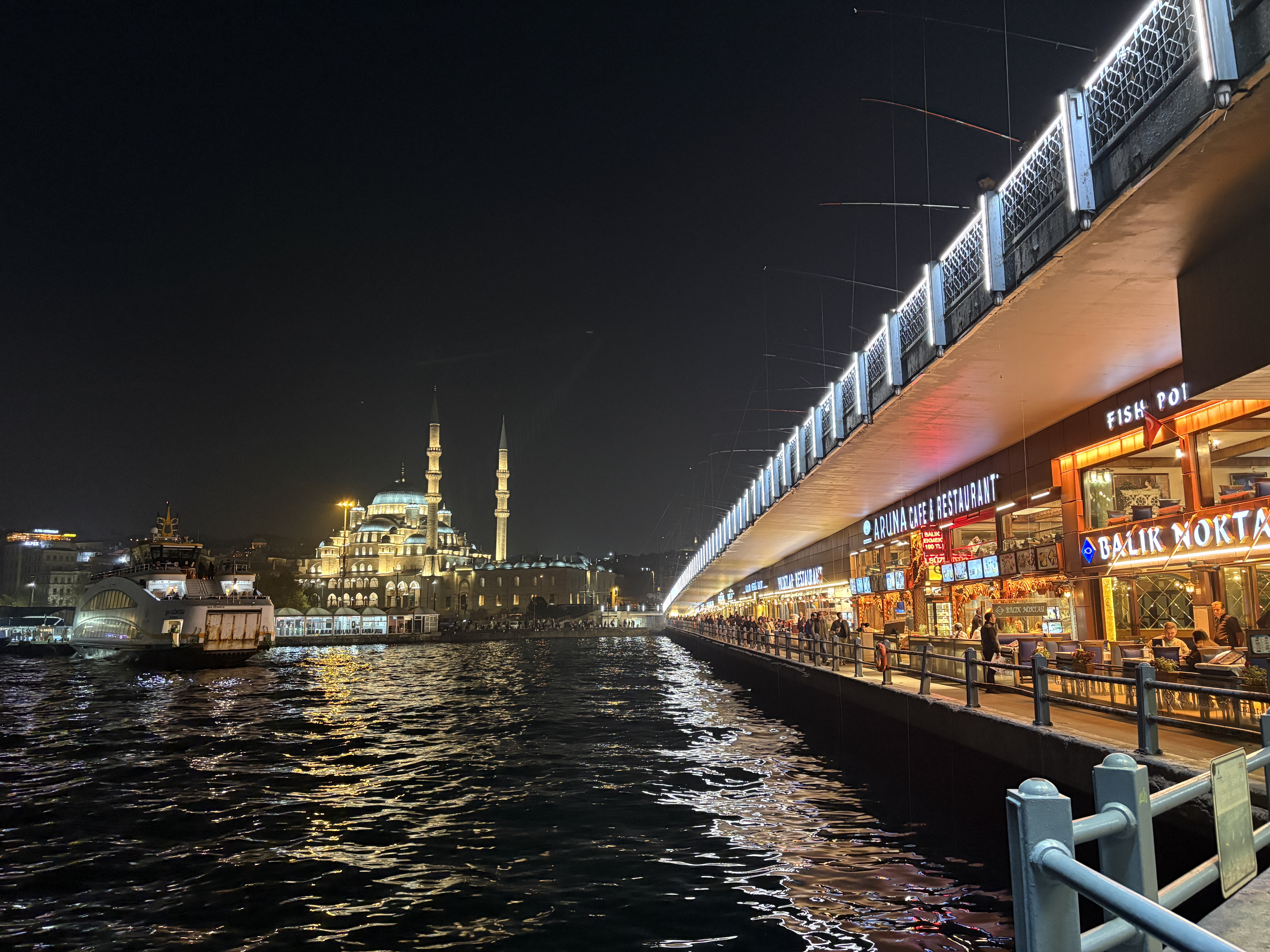 猫の都　イスタンブールでトルコを味わう