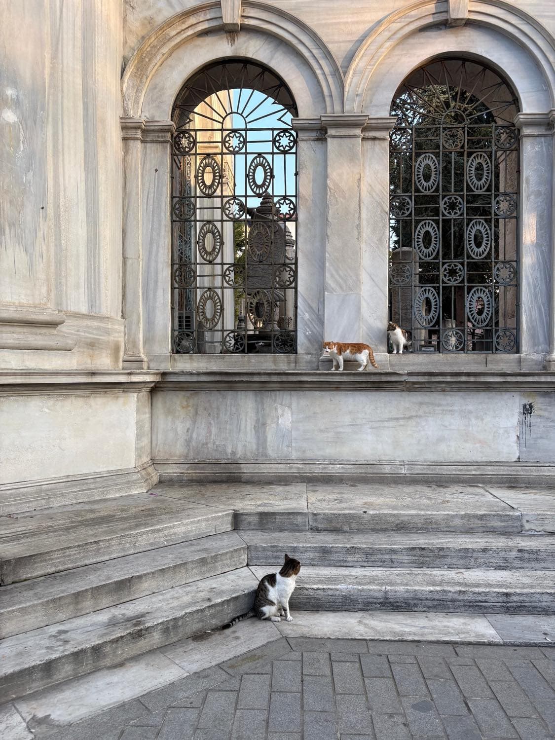 猫の都　イスタンブールでトルコを味わう