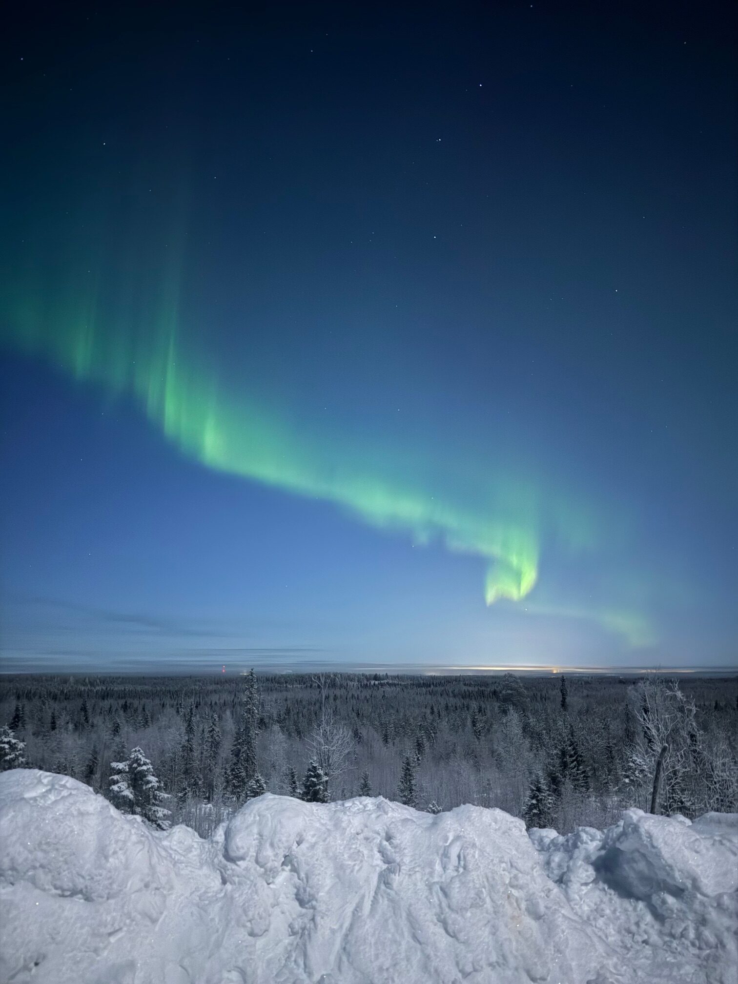 【竹田旅行記】フィンランド一人旅行 vol.2