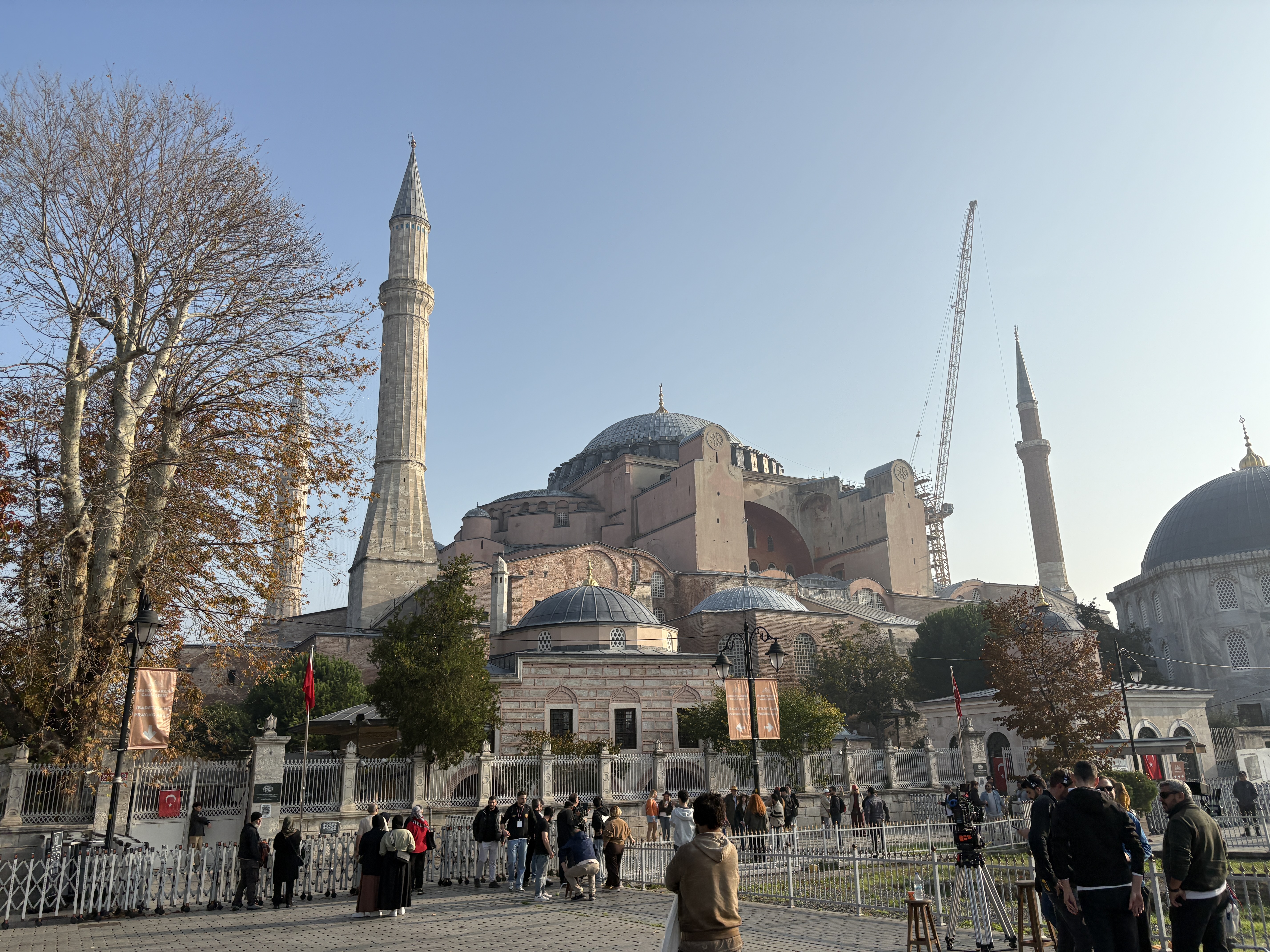 猫の都　イスタンブールでトルコを味わう