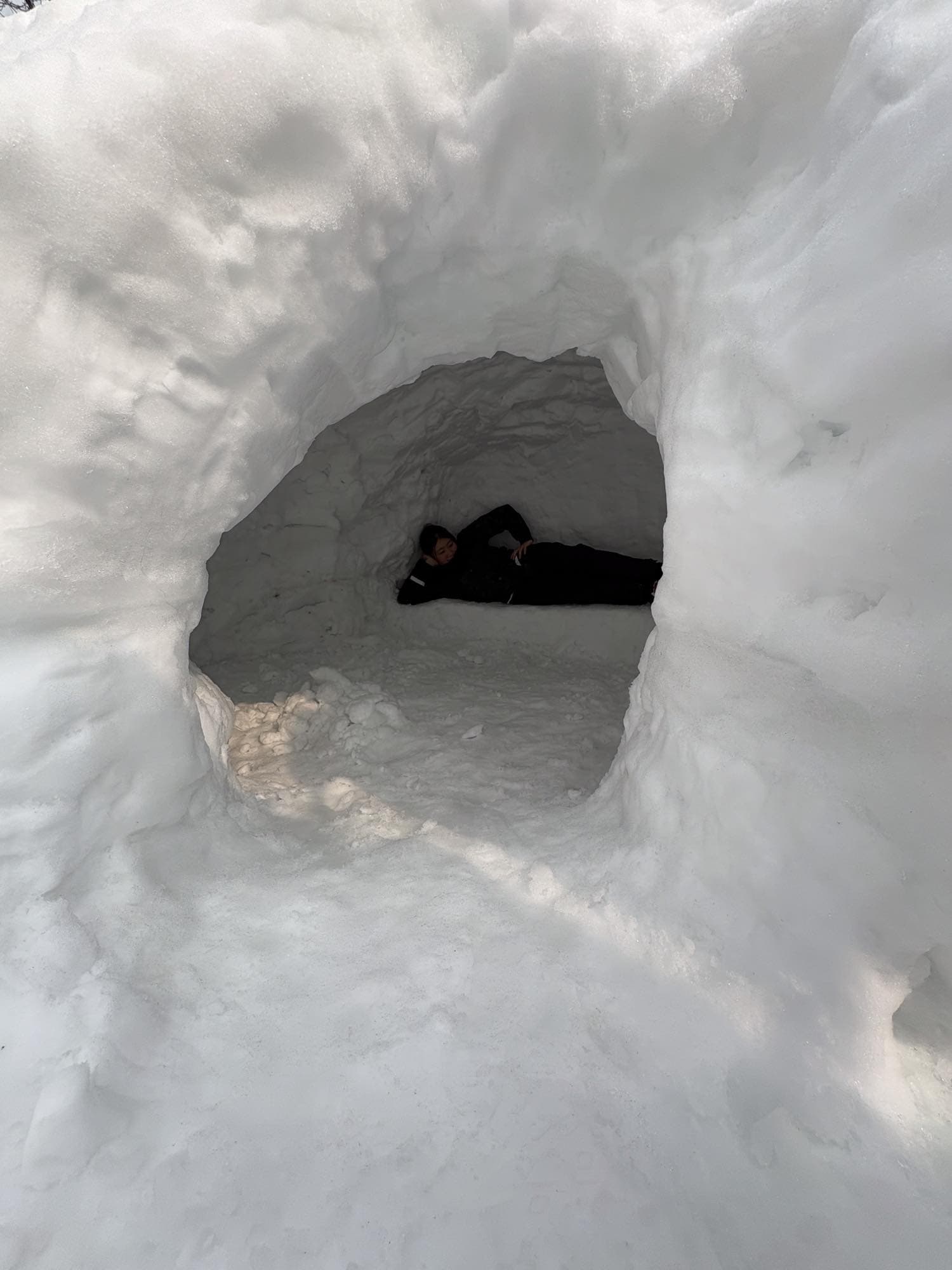 花レの敷地に「かまくら」出現！ 社員家族と過ごす冬の特別な一日