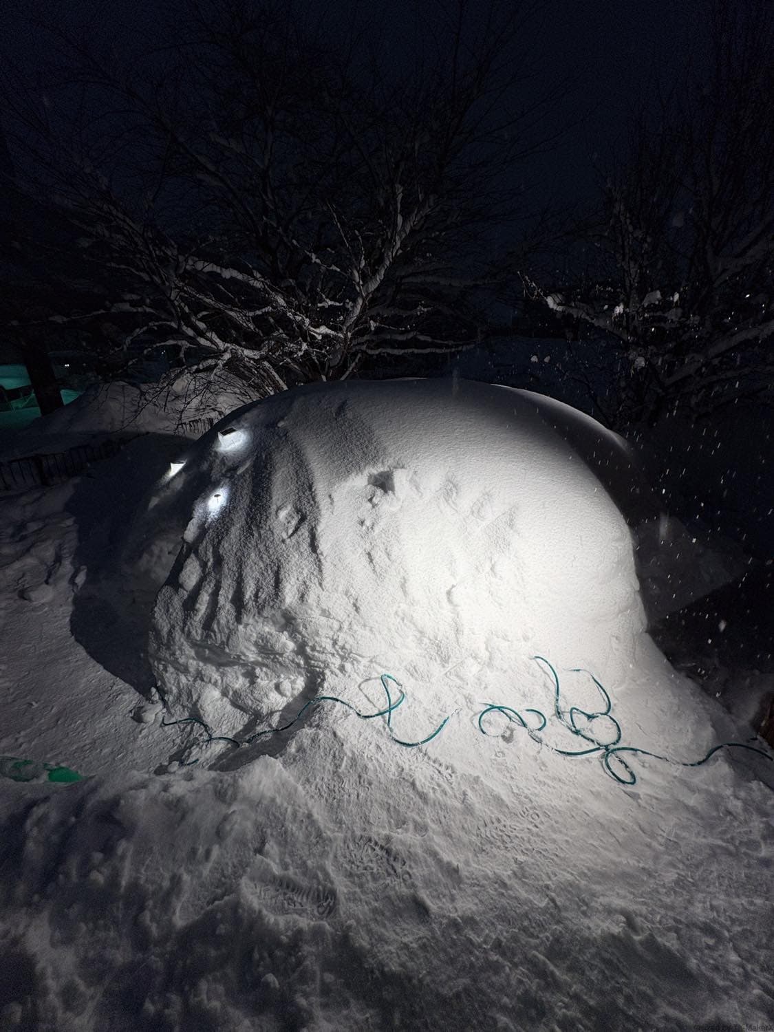 花レの「かまくら」後日談