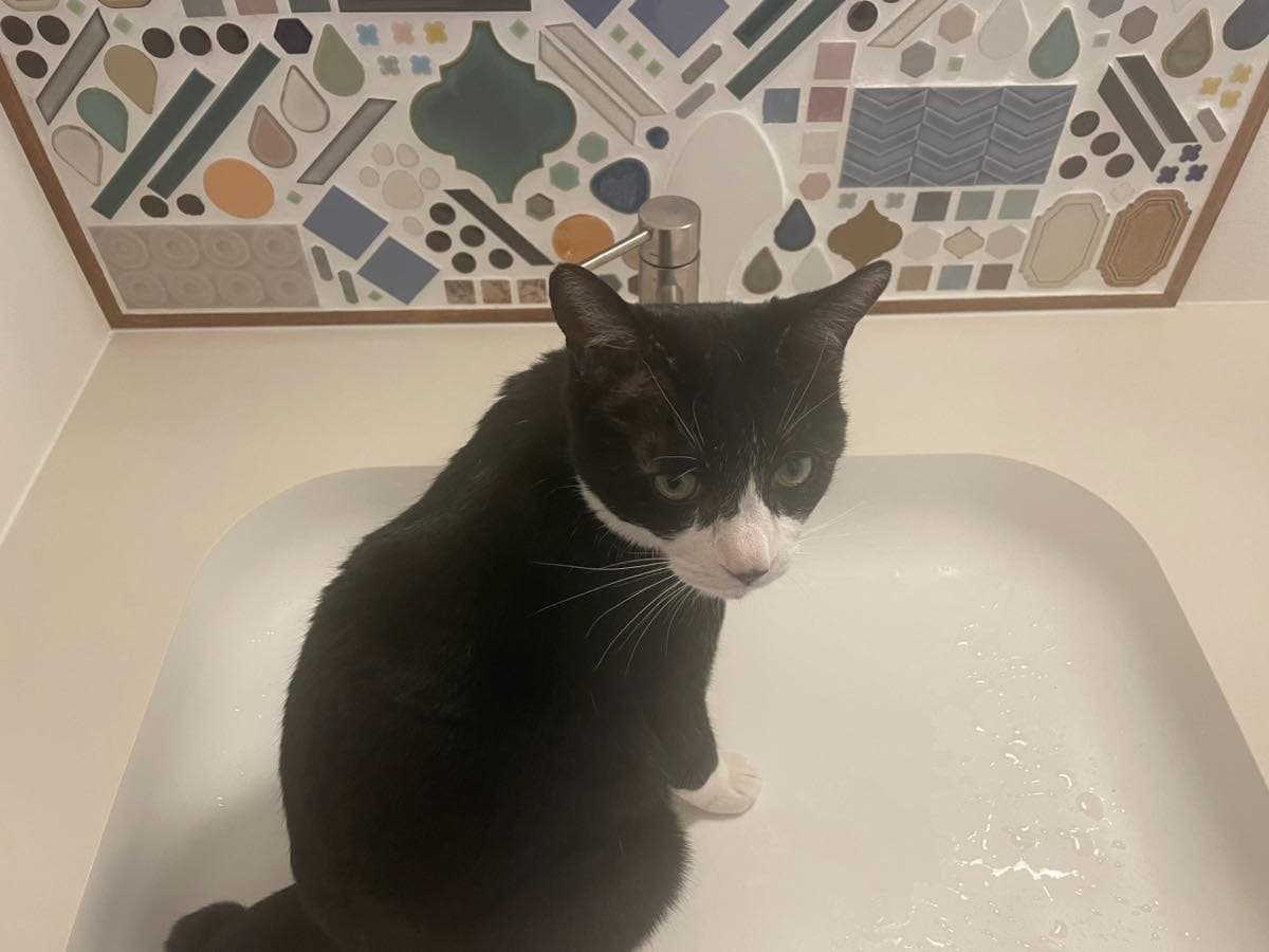 ご家族で張った世界にひとつの「オリジナル洗面タイル」