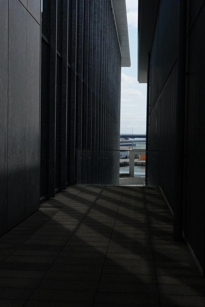 兵庫県立美術館｜光と影と青りんご