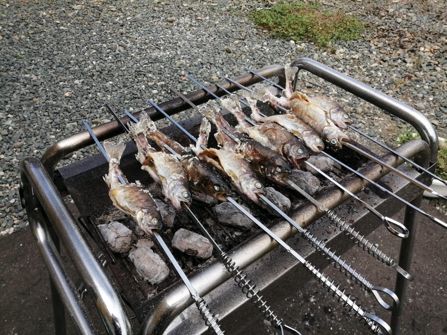 新入社員の宇夫方爽帆です！