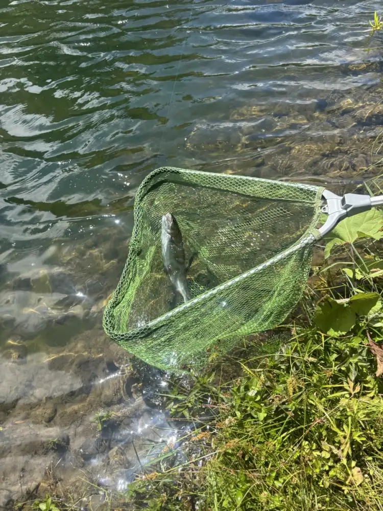 釣りに挑戦！