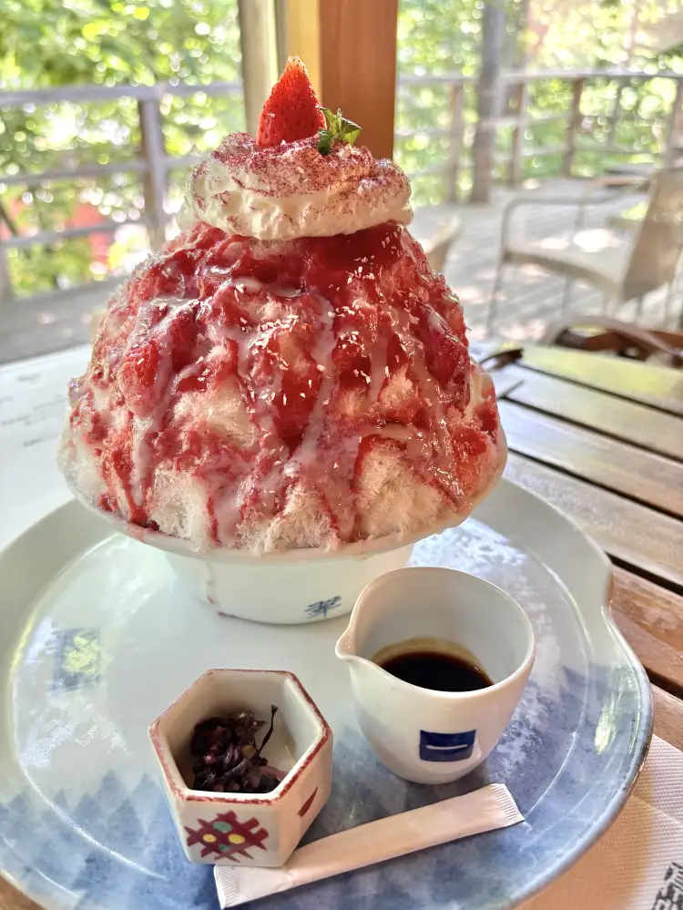 贅沢なかき氷を求めて「森乃百日氷  本店」へ行ってきました！